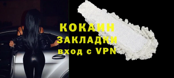 шишки Абинск