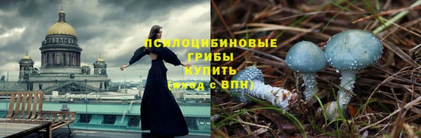 шишки Абинск