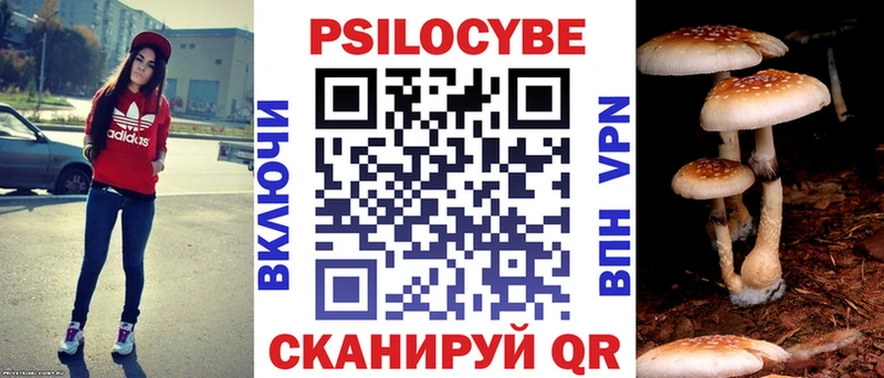 Псилоцибиновые грибы Psilocybe  Братск 